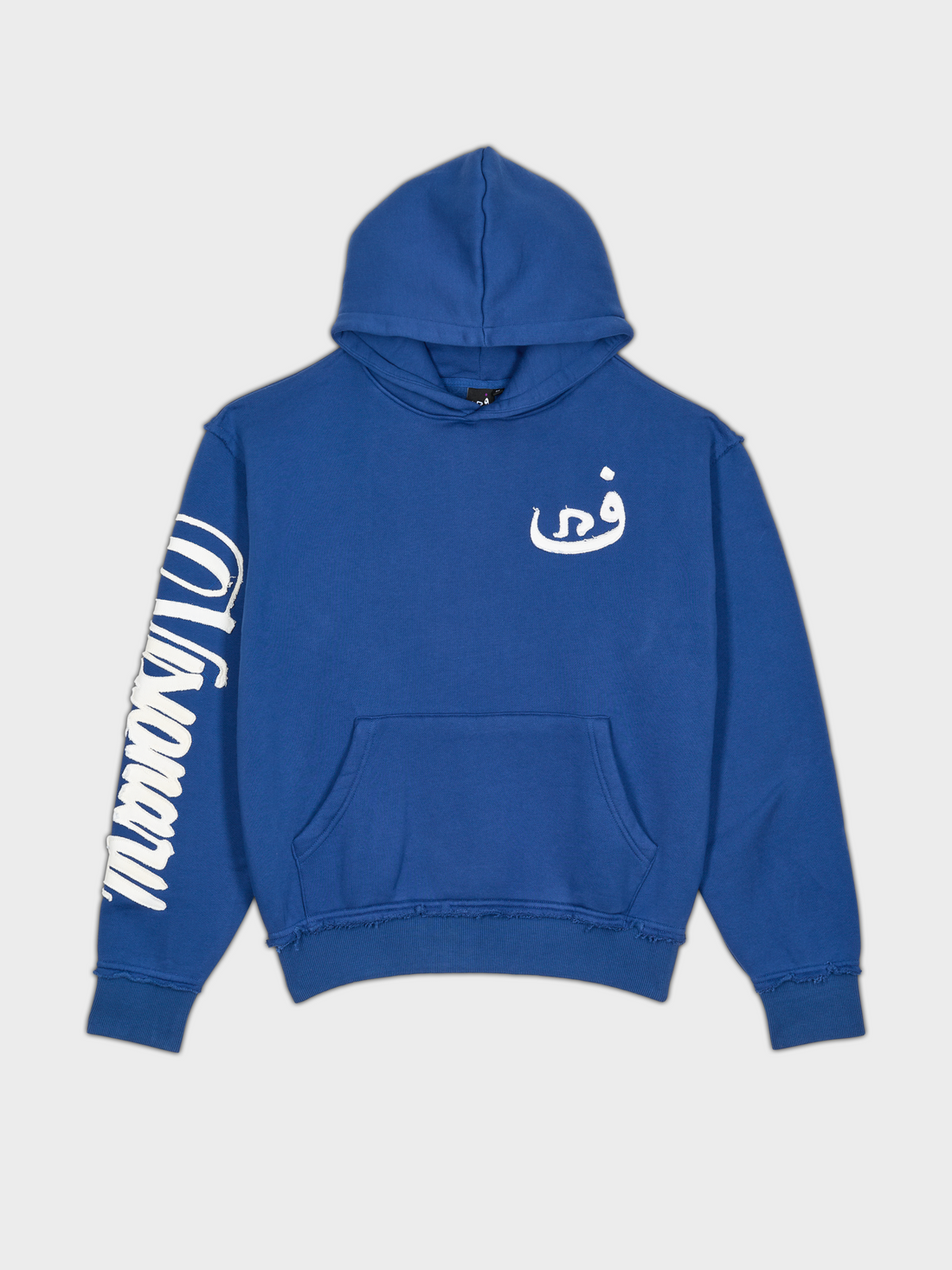 Hoodie Visionary - Bleu