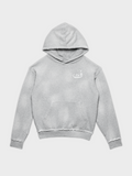 Hoodie Délavé - Gris
