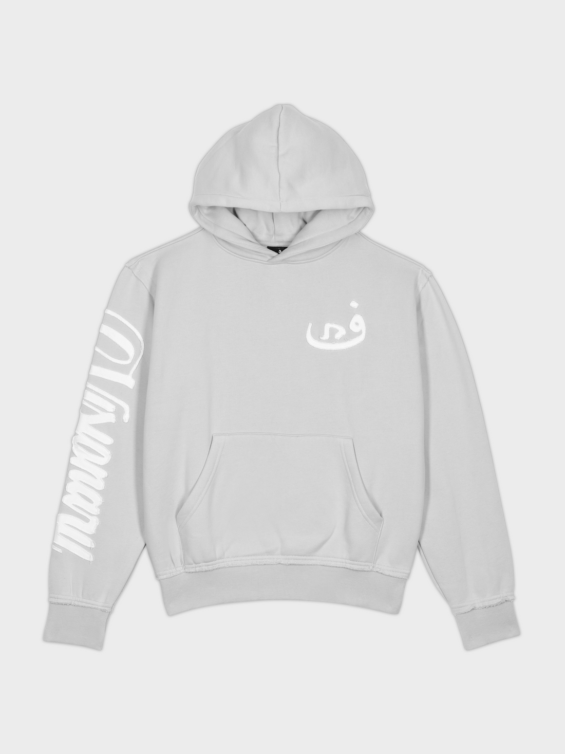 Hoodie Visionary - Gris